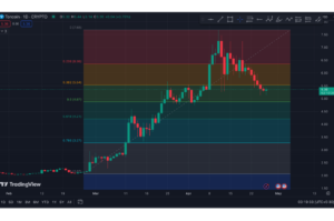 Toncoin Crypto Price Prediction for 2030 